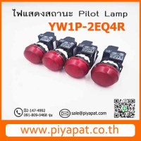 YW1P - 2EQ4R รูปโชว์